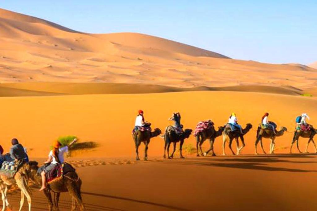 Sahara Safari Camp Hotel Мерцуга Екстериор снимка